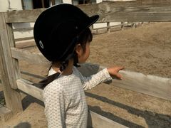 -北京群众马术培训基地