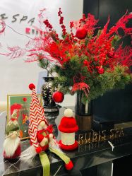 -丽妍雅集 Rubis SPA