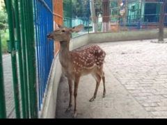 -荆州中山公园动物园