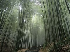 -天目湖涵田半山温泉