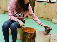 -藦茜花园宠物主题亲子互动体验馆(国顺东路店)