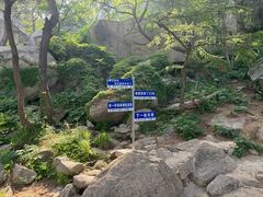-崂山仰口游览区