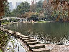 -重庆彩云湖湿地公园