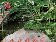 -中国科学院西双版纳热带植物园
