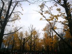 -百林公园-两江幸福广场
