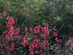 -水濂山森林公园