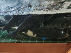 -小山寨(天润城店)