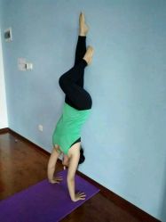 -天悦国际瑜伽学院