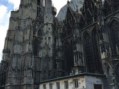 -斯蒂芬主教座堂(Stephansdom)