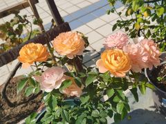 -第三空间·趣味桌游·轰趴.室内CS.剧本杀(大武汉1911店)