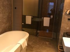 -河源万绿湖美思威尔顿酒店