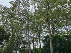 -南宁南湖公园