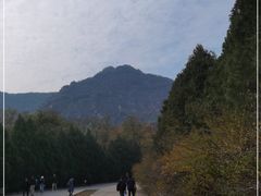 -北京鹫峰国家森林公园
