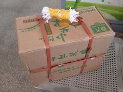 -亚龙湾站