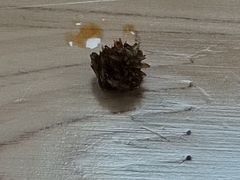 -喻味豌杂牛筋面(融创滨江壹号观麓台店)