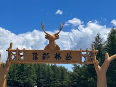 -丰宁坝上草原