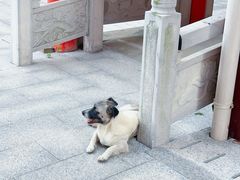 -皇罗禅寺