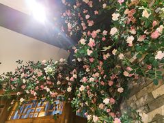 -小隐院子·庭院餐厅(大学城后湖店)