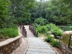 -北京西山国家森林公园