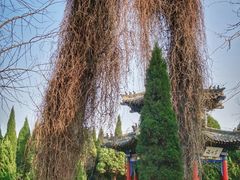 -汤阴县羑里周易博物馆