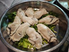 台山生蚝-丰尔粥食·粥底火锅·桑拿鸡(大良总店)
