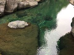 -石台牯牛降景区