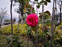 -福州罗源湾海洋世界旅游区