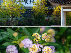 -和顺古镇
