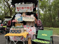 -昆山城市生态森林公园