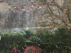 -赛格国际购物中心(小寨店)