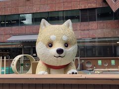 -新城市广场