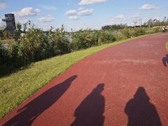 -春花秋色城市公园