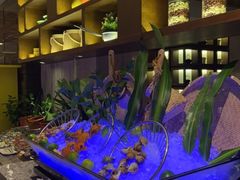 -长沙北辰洲际酒店-兰调全日餐厅