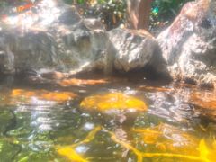 -广州锦绣香江度假别墅