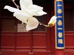 -潭柘寺景区