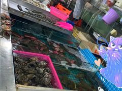 -三亚新鸿港水果一级批发市场