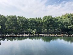 -九龙潭景区
