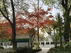 -昆山城市公园