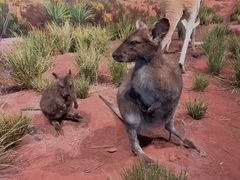 -陕西自然博物馆