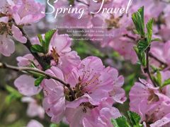 -北京国际鲜花港