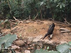 -广州长隆野生动物世界