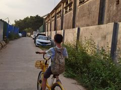 -长洲岛