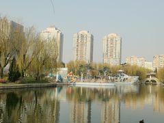 -团结湖公园