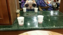 -唐朝造型·甄选