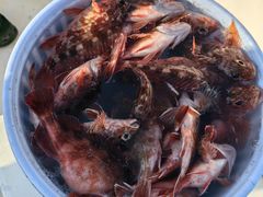 -五缘湾游艇帆船俱乐部