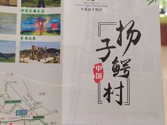 -中国扬子鳄村