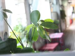 -娜娜度假小旅馆