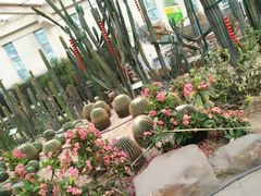 -石家庄市植物园