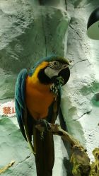 -Zoolung Zoolung动物主题公园(海信广场店)