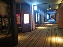 -博纳国际影城IMAX(中央大道店)